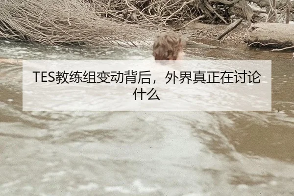 TES教练组变动背后，外界真正在讨论什么